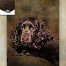 Pesquisar por de cocker spaniel pósteres pôsteres Canino
