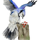 Pesquisar por azul jato ornamentos Aquarela