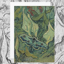 Pesquisar por mariposas convites Insetos