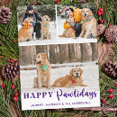 Pesquisar por animais filhotes de cachorro fotos cartoes Animal de estimação