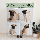 Pesquisar por pegada For pets