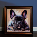 Pesquisar por buldogue francês preto pôsteres Desenho