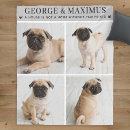 Pesquisar por nossa para animais para animais mantas Dogs