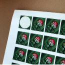 Pesquisar por peônia adesivos Natureza