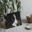 Pesquisar por animal triste cartoes Canino