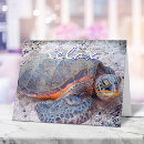 Pesquisar por turtle cartoes Tartaruga marinha