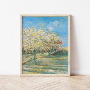 Pesquisar por flores van gogh pósteres pôsteres Impressionismo