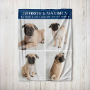 Pesquisar por pata fotografia Dogs