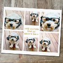 Pesquisar por fotos flyers Fotografia