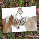 Pesquisar por pôneis natal cartoes Equestre