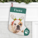Pesquisar por cachorrinhos meias de natal Dogs