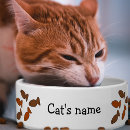 Pesquisar por biscoito animais estimação acessórios Cats