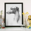 Pesquisar por whippet pôsteres Dog