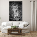 Pesquisar por leopardo olhos pôsteres Jaguar
