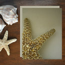 Pesquisar por casa praia artesanato material Estrela