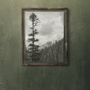 Pesquisar por montanhas brancas pósteres pôsteres Preto e branco