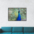 Pesquisar por azul de pavão pôsteres Pântano