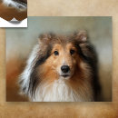 Pesquisar por sheltie pôsteres Estante