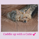 Pesquisar por yorkshires terrier mantas Fofofo