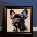 Pesquisar por buldogue francês preto pôsteres Desenho