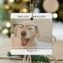 Pesquisar por gato feliz ornamentos Engraçado