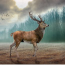 Pesquisar por veado chaveiros Galhardetes