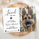 Pesquisar por engraçado eu te amo cartoes postais Couple