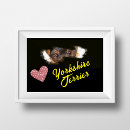 Pesquisar por yorkshire terrier pôsteres Preto