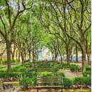 Pesquisar por charleston pôsteres História