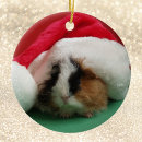 Pesquisar por suínos ornamentos Fofofo