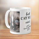 Pesquisar por mãe do gato canecas Mother