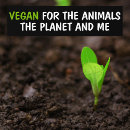 Pesquisar por animal planet Vegetariano