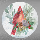 Pesquisar por passarinho vermelho adesivos Verde