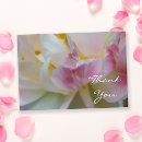 Pesquisar por tulipa cor de rosa e branca Floral