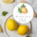 Pesquisar por citrinos adesivos Aquarela