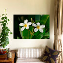 Pesquisar por white impressão de canvas Tropicais