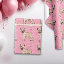 Pesquisar por mole papel de presente Rosa