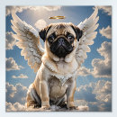 Pesquisar por céu do cão Qualquer pessoa