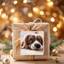 Pesquisar por foto animal adesivos Crie o seu