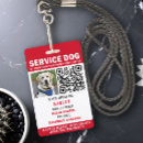Pesquisar por dog escritorio escola Cão de serviço