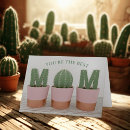 Pesquisar por cacti cartoes Succulents