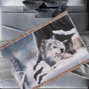 Pesquisar por wolf mantas Azul