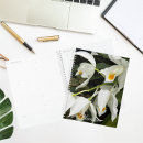 Pesquisar por imagens das orquídeas Floral