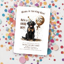 Pesquisar por cachorro labrador aniversário convites Cãozinho