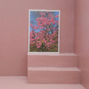 Pesquisar por azáleas cor de rosa Floral