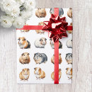 Pesquisar por guiné papel de presente Amante da guiné