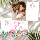 Pesquisar por flamingos cartoes For kids