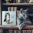 Pesquisar por engraçados azulejos Humor