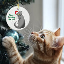 Pesquisar por feriado ornamentos Gato