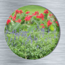 Pesquisar por foto da natureza imas Jardim